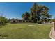 Large backyard with mature trees and landscaping, offering ample space for outdoor activities at 1010 E Buena Vista Dr, Tempe, AZ 85284