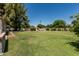 Spacious backyard with manicured lawn and brick-lined path, ideal for recreation and outdoor enjoyment at 1010 E Buena Vista Dr, Tempe, AZ 85284