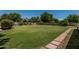 Over-sized backyard featuring a vast green lawn, framed by mature trees, hardscape, and lush landscaping at 1010 E Buena Vista Dr, Tempe, AZ 85284
