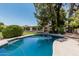 Refreshing backyard pool with a concrete surround, framed by mature trees for privacy and shade at 1010 E Buena Vista Dr, Tempe, AZ 85284