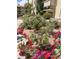 Beautiful landscaping features colorful flowers and manicured bushes in the community at 10330 W Thunderbird Blvd # C206, Sun City, AZ 85351