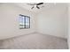 Bright bedroom with a ceiling fan, plush carpet and large windows at 11564 E Windsor Way, Florence, AZ 85132