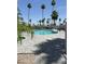 Community pool surrounded by palm trees and lounge chairs at 150 S Windsor Dr # 35, Mesa, AZ 85204