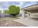 The backyard features a covered patio, privacy wall, and landscaped yard at 1584 E Harrison E St, Chandler, AZ 85225