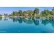 Picturesque water view with homes surrounded by mature trees, green spaces, and community walking paths at 19860 N 110Th Ln, Peoria, AZ 85373