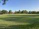 Expansive community green space with lush grass, mature trees, and picturesque walking paths at 2715 E Canyon Creek Dr, Gilbert, AZ 85295