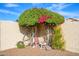 Cozy outdoor seating area adorned with lush flowering plants, creating a serene retreat at 316 W Anderson Ave, Phoenix, AZ 85023