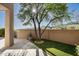 Lush backyard with a tree and artificial grass, perfect for relaxing outdoors at 41576 N 107Th Way, Scottsdale, AZ 85262