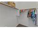 Walk-in closet with clothing, shelves, and a carpeted floor at 455 W Evergreen Pear Ave, Queen Creek, AZ 85140