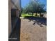 Gravel driveway leading to the home, surrounded by mature trees providing shade and a natural landscape at 5016 W Sunrise Dr, Laveen, AZ 85339