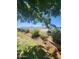 A well maintained yard features a small stream and a landscaped garden, offering a tranquil outdoor space at 5016 W Sunrise Dr, Laveen, AZ 85339