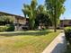 Exterior view of complex with green lawn and mature trees at 6565 N 19Th Ave # 38, Phoenix, AZ 85015