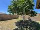 Spacious backyard with a tree, plenty of grass, and block fence at 9402 N 48Th Dr, Glendale, AZ 85302