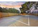 Private sport court with basketball hoop and practice net surrounded by mature landscaping, offering recreation and fun at 14221 N 43Rd St, Phoenix, AZ 85032
