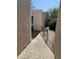 Outdoor patio with a walkway leads to the entrance at 1913 S River Dr, Tempe, AZ 85281