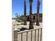 Attractive backyard with palm trees and desert landscaping at 20332 N Denizen Dr, Surprise, AZ 85387