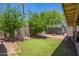 Lush backyard featuring a well-maintained lawn, mature trees, and a private fence, ideal for outdoor activities at 2202 S Lawther Dr, Apache Junction, AZ 85120