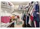 Organized walk-in closet with shelving, hanging rods, and ample storage space for clothing and belongings at 2202 S Lawther Dr, Apache Junction, AZ 85120