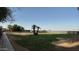 Expansive backyard area with grass, trees, and ample space for outdoor activities at 3323 N 103Rd Ave, Avondale, AZ 85392