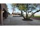 Exterior view of covered patio with beautiful tree at 3323 N 103Rd Ave, Avondale, AZ 85392