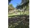 Inviting community park with lush greenery and picnic area at 602 N May St # 65, Mesa, AZ 85201