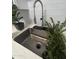 Modern stainless steel kitchen sink with sleek faucet and greenery accents at 602 N May St # 65, Mesa, AZ 85201
