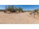 Large backyard with mature trees at 1347 S Oak Rd, Maricopa, AZ 85139
