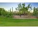 Backyard with mature tree, desert landscaping, and gate to the golf course at 1637 N Quartz Valley Rd, Scottsdale, AZ 85266