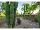 Desert landscape with cacti, gravel, and greenery along the house at 1637 N Quartz Valley Rd, Scottsdale, AZ 85266
