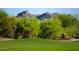 Scenic green golf course view with beautiful mountain backdrop and landscaping at 1637 N Quartz Valley Rd, Scottsdale, AZ 85266