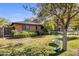 Landscaped front yard with mature tree and a charming tire swing at 1825 E Palo Verde Dr, Phoenix, AZ 85016