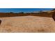 Large, enclosed backyard offers a blank canvas for outdoor living at 20128 W Jackson St, Buckeye, AZ 85326