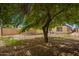 Large backyard with mature tree offering shade, partially xeriscaped with potential for personalization at 205 N 107Th Dr, Avondale, AZ 85323