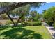 Picturesque community courtyard with lush landscaping, mature trees, and walking path at 3032 N 32Nd St # 61, Phoenix, AZ 85018