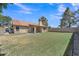 Beautiful backyard with well-maintained lawn, trees, and covered patio provides a serene outdoor escape at 3882 S Hawthorn Dr, Chandler, AZ 85248