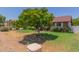 Lovely single story home with mature landscaping and a large shade tree in the front yard at 428 S Sunnyvale --, Mesa, AZ 85206