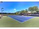 A pristine blue tennis court is surrounded by lush greenery, perfect for sports enthusiasts at 119 E Camellia Way, San Tan Valley, AZ 85140