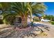 Lush front yard features mature palm tree and desert landscaping at 1688 W Corriente Dr, San Tan Valley, AZ 85144
