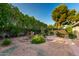 Serene backyard featuring a variety of plants, trees, and a charming seating area at 4046 E Crocus Dr, Phoenix, AZ 85032