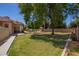 Expansive backyard with lush green grass, mature trees, a pool, and patio furniture, perfect for outdoor living at 5534 W Riviera Dr, Glendale, AZ 85304
