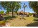 Beautifully landscaped backyard featuring lush green grass, mature trees, a pool, and a covered patio, creating a private oasis at 5534 W Riviera Dr, Glendale, AZ 85304