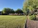 Expansive green space perfect for recreation, featuring lush lawns and well-maintained shrubs at 7027 W Midway Ave, Glendale, AZ 85303