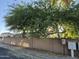 Street view with mature tree and mailboxes at 7027 W Midway Ave, Glendale, AZ 85303