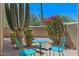 Beautiful backyard featuring desert landscaping, including cacti and vibrant bougainvillea at 8306 E Buckskin Trl, Scottsdale, AZ 85255