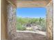 Framed view of the desert landscape showcasing native plants and wildlife at 8306 E Buckskin Trl, Scottsdale, AZ 85255