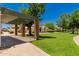 Manicured lawn with beautiful shade at 9011 N 52Nd Ave, Glendale, AZ 85302