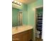 Bright bathroom with large mirror, wood vanity, and shower with curtain at 9018 W Superior Ave, Tolleson, AZ 85353