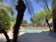 Backyard pool framed by mature landscaping and decorative rock features offers a tranquil oasis at 9018 W Superior Ave, Tolleson, AZ 85353