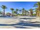 Beautifully landscaped park area with mature palm trees and a spacious plaza at 10240 E Supernova Dr, Mesa, AZ 85212