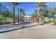 Scenic walking path lined with mature palm trees in a well-maintained park area at 10240 E Supernova Dr, Mesa, AZ 85212
